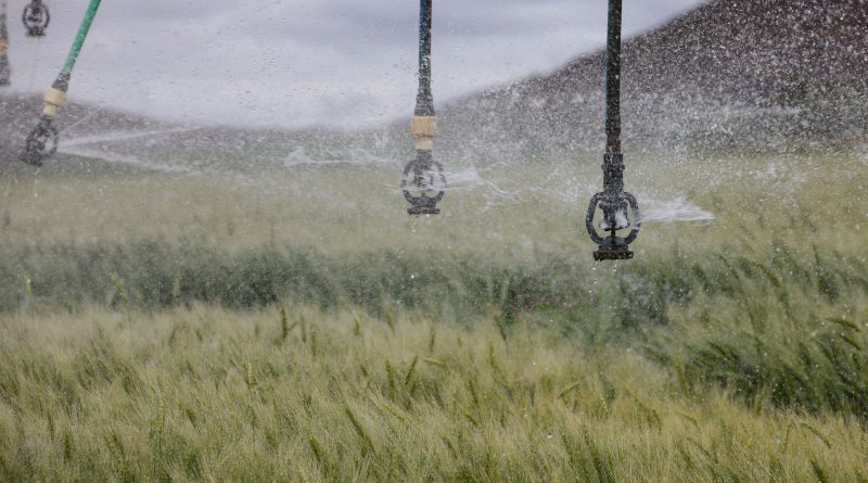 Reducing Operational Delays Through Strategic Dispensary Sprinkler Impairment Coordination